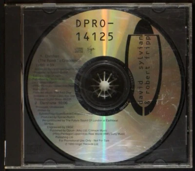 David Sylvian & Robert Fripp - Darshan (2 track promo single) - CD [06] USA Foto 1 de 3
