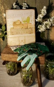 ANTIGUO PRIMITIVO DE COLECCIÓN ARTE POPULAR ESTILO PAÍS JARDÍN MACETAS COBERTIZO SIGNO IMPRESIÓN DE SEMILLAS - Imagen 1 de 5