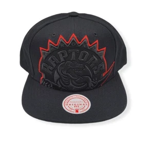 Mitchell & Ness Toronto Raptors Cropped XL HWC Adjustable Snapback Hat Cap - Picture 1 of 6