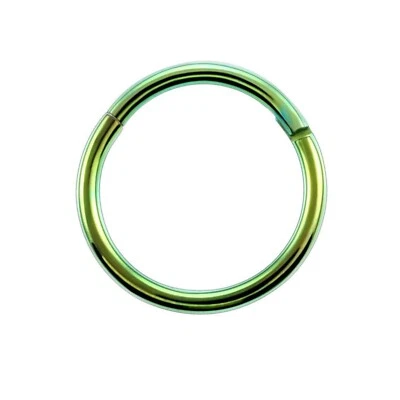 Anillo de nariz segmento con bisagras de titanio clicker tabique labio oreja pendiente aro de cartílago Foto 1 de 4