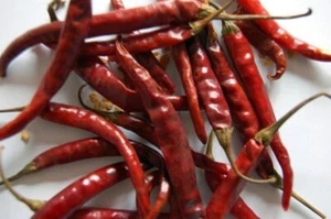 Rat's Tail Pepper Or Tree Chili Bird's Cayenne Beaks Hot Smokey Flavors 20 Seeds - Picture 1 of 1