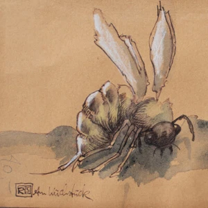 Insecto avispa representación animal contemporáneo monograma R acuarela y tinta 1995 - Imagen 1 de 4