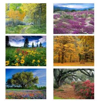 Фотография природы фон лес цветок виниловая ткань фон фото реквизит - Изображение 1 из 4