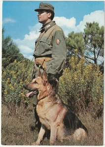 MILITÄR - CARABINIERI CINOFILI -52226- - Bild 1 von 1