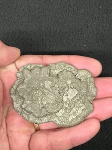 2-7/8" x 2-1/4"  Pyrite Sun Sparta, Illinois - Picture 1 of 3