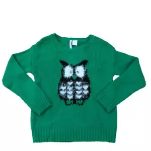 Heart-n-Crush Girls Green Owl Pullover Sweater L (14) - Picture 1 of 1