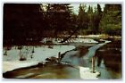 1961 View Of Winter Beauty On Canada Creek Ranch Atlanta Michigan Mi Postcard
