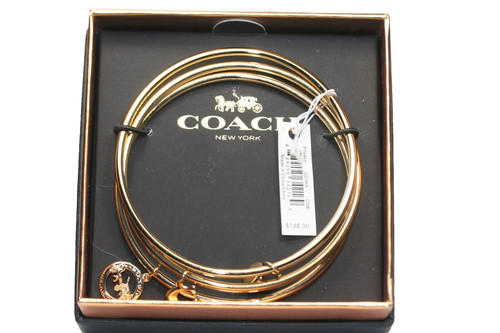 Braccialetti Coach Cavallo e Carrozza Bracciali F76466 Nuovi con etichette e Scatola Carrozza