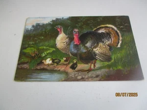 "The Poultry Farm" , Vintage Tuck Art Series Postcard 6945 - Picture 1 of 2
