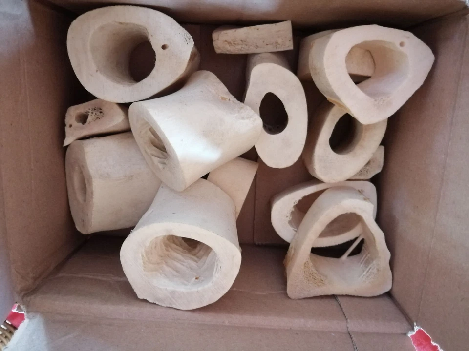 Röhrenknochen Reh Amulett Totem Spielzeug ca. 1,3 kg - Bild 1 von 1