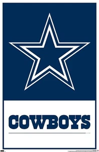 Dallas Cowboys LOGO POSTER 24 X 36 INCH Sweet! - Picture 1 of 2