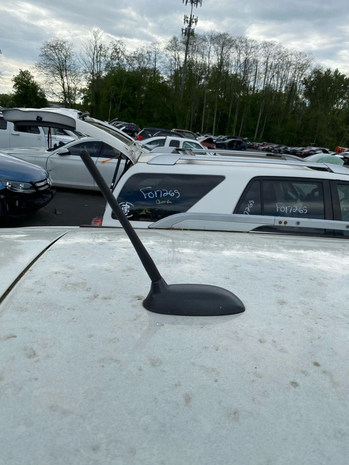 Антенна 09 10 11 12 13 14 15 16 ROGUE EXCEPT SPORT - Изображение 1 из 1