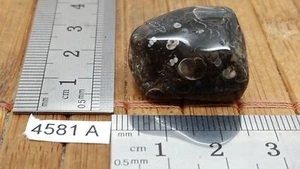 AGATE TURITELLE pierre roulée mineraux lithotherapie collection esoterisme reiki - Picture 1 of 2