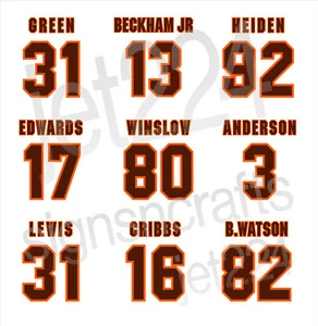 Cleveland Browns STICKER DECAL 2000s decade stars - Picture 1 of 19