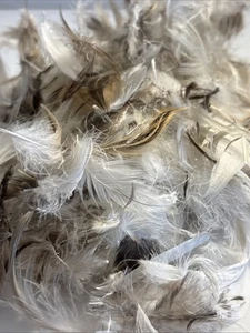 Feathers For Crafting .8 Oz - Picture 1 of 5