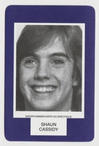 Shaun Cassidy 1993 Face to Face Game Card - Single Card from Canadian Game - Picture 1 of 2