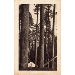 Vintage C.H. Küken & Co. Holzanlage Immobilien Postkarte 1908 - Bild 1 von 2