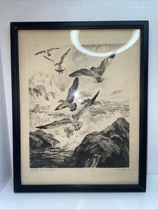 R.H. Palenske “Gulls at Monterey” Etched Print, Framed 9”x11” - Foto 1 di 11