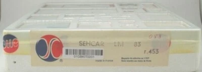 1/43 AMR RUF Kit Ref. 453 Sehcar C6 Ford Le Mans 1983 J.Villeneuve Sr. #36 Rare - Immagine 1 di 3