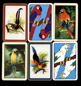 EXOTIC BIRD SWAP PLAYING CARDS COLORFUL GALAHS PARROTS COCKATOO & JUNGLE BIRDS - Picture 1 of 1