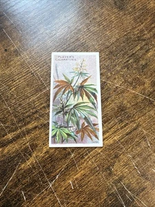 1904 John player useful plants and fruits hemp Cannabis Marijuana Card... - Picture 1 of 11