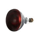 INFRA-RED LAMP (RED) 120V, 250W