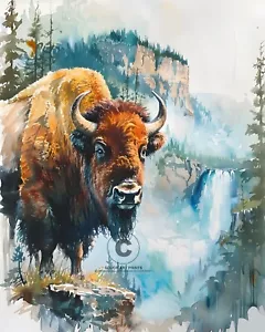 Stampa artistica Buffalo Bisonte Yellowstone Falls Parco nazionale Yellowstone Wyoming 8x10 - Foto 1 di 2