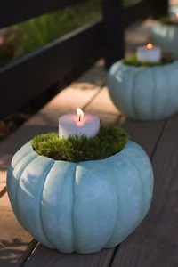 Terra Cotta Kürbis Halloween Herbst 5" Pflanzgefäß aus Gelände/Anthropologie - Bild 1 von 12