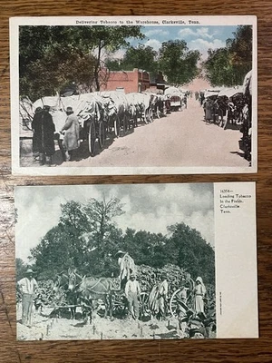 Principios de 1900- (2) POSTALES AMERICANAS NEGRAS - "Cargando tabaco... Clarksville, TN" Foto 1 de 4