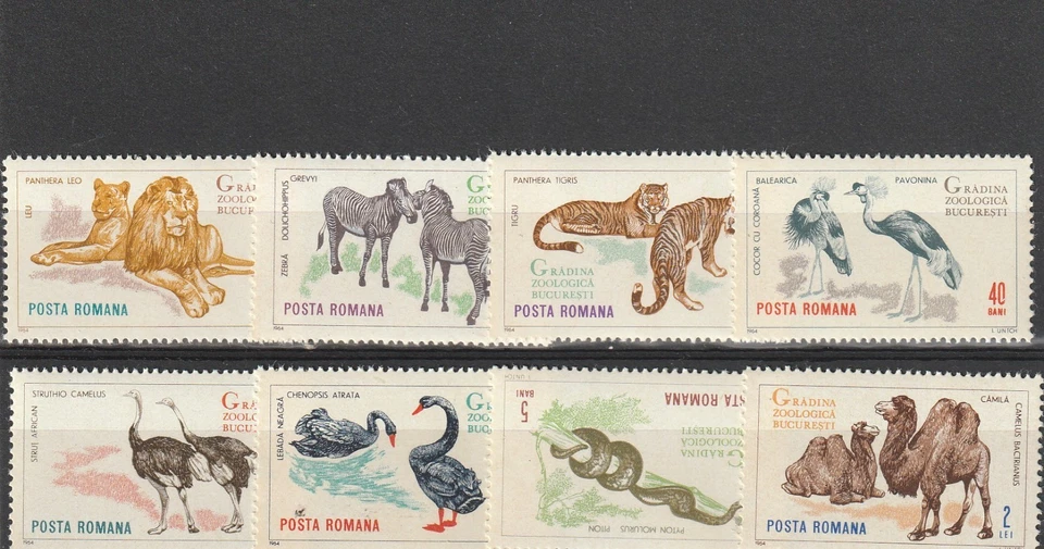 罗马尼亚 1964 年邮票布加勒斯特动物园动物狮子蛇斑马全新邮票 — 第 1/1 张图片