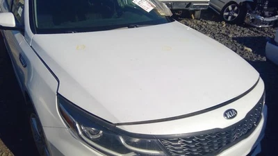 (LOCAL PICKUP ONLY) Hood US Built VIN 5 1st Digit Fits 16-20 OPTIMA 1622797 Foto 1 de 4