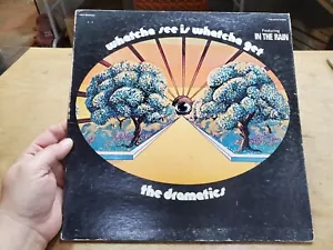 THE DRAMATICS Whatcha See Is Whatcha Get, 1971 Volt VOS-6018 LP, Sonic Pressing - Picture 1 of 17
