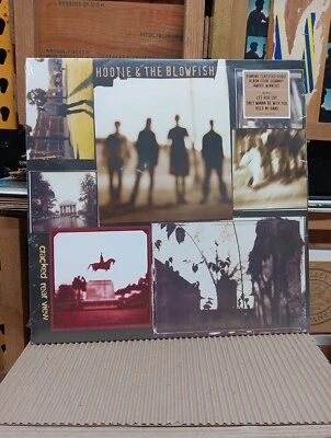 Hootie And The Blowfish Cracked Rear View Vinyl