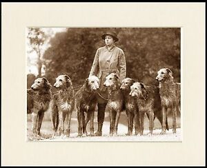 DEERHOUND LADY AND HER DOGS OLD STYLE DOG PHOTO PRINT MOUNTED READY TO FRAME