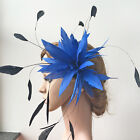 Goose Twisted Mount Stripped Coque Feather Flower Millinery Hats Fascinator Trim