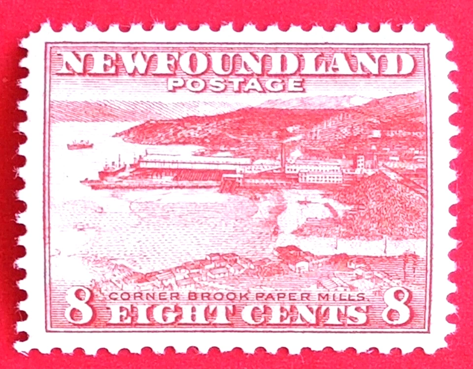 Canada Newfoundland #259 Perf 12.5 Waterlow & Sons Printing - Paper Mill MNH - Image 1 of 1