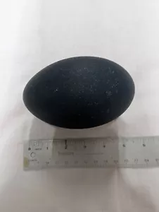 Genuine Emu Egg - Decorative Blown Out Clean Shells - Picture 1 of 4