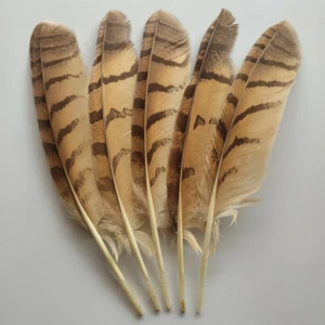 Precious 10-100PCS Pretty Natural Pheasant Feathers 8-14inch/20-35cm Decoration - Picture 1 of 4