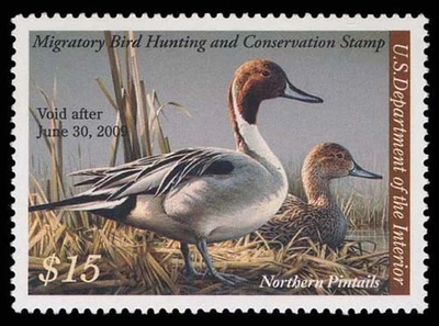 RW75 — 2008 Pintail, GEM 100 NH, PSE Certificate - Image 1 of 2