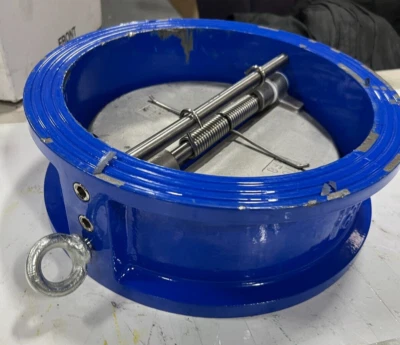 Válvula de retención de disco dividido Metraflex 10" CVXXK ANSI125 sello EPDM DISC 304SS Foto 1 de 4