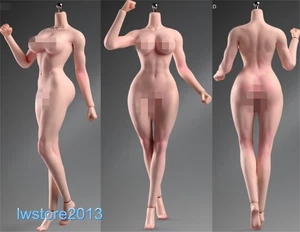 ANT 1/6 T307B blasse Haut pralles Mädchen 12" muskulöse weibliche Actionfigur Körper Spielzeug - Bild 1 von 21