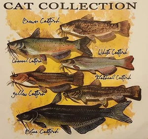 CAT COLLECTION BRAUN WEISS BLAU WELS FISCH ANGELN #457 TASCHENHEMD - Bild 1 von 5