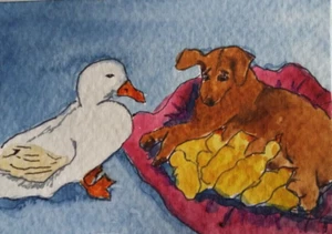 ACEO Originale - Anatroccolo cane - Acquerello 2,5 x 3,5 Firmato - Foto 1 di 3