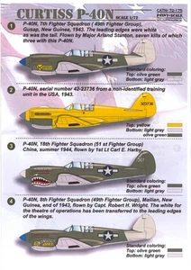 Calcomanías a escala impresas 1/72 CURTISS P-40N WARHAWK luchador estadounidense de la Segunda Guerra Mundial - Imagen 1 de 5