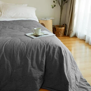 Silk Comforter 100% Silk Filling Duvet Cotton Cover All-Season Washable Duvet wi - Picture 1 of 8
