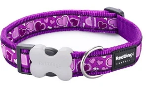 RED DINGO BREEZY HEARTS COLLAR & LEADS - Picture 1 of 5