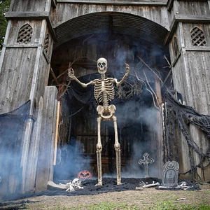 Seasonal Visions Animated Towering Skeleton with Projection Eyes Halloween Decor - Picture 1 of 1