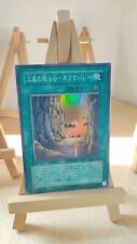 Yu-Gi-Oh! - Necrovalley - Tal der Toten - EE1 - 032 - Super - Japanisch - LP
