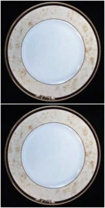 Wedgwood "Cornucopia" Dinner Plate 2 Plates with tag #50135801004 - Picture 1 of 2