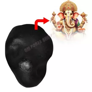 Ganesha Face Darshan Narayan Shaligram Shila Stone OmPoojaShop - Imagen 1 de 7